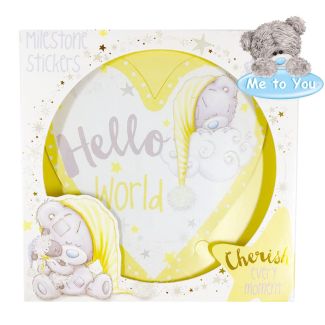 Tiny Tatty Milestone Sticker Set